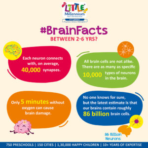 Post 8 - Brain Facts